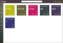 CRM consulting